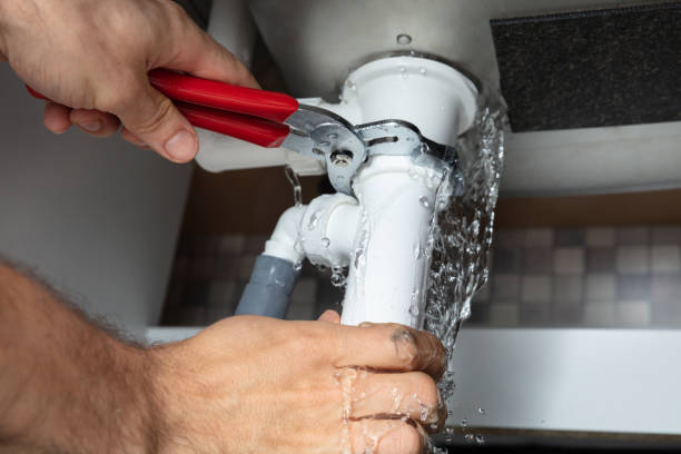 Best Fire Damage Restoration  in Hampton, IL