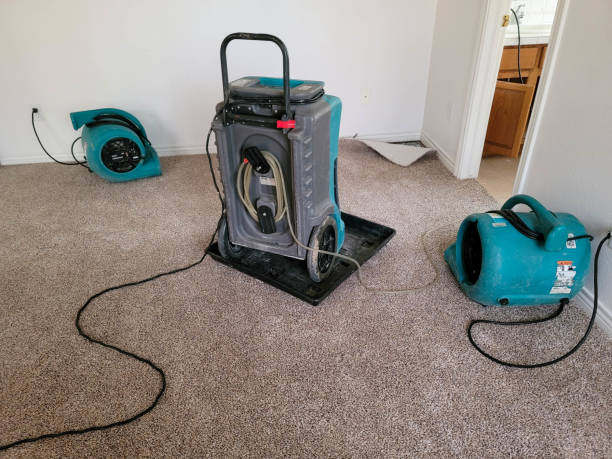 Best Flood damage cleanup  in Hampton, IL