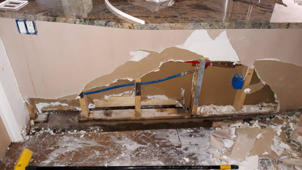 Best Flooded house restoration  in Hampton, IL