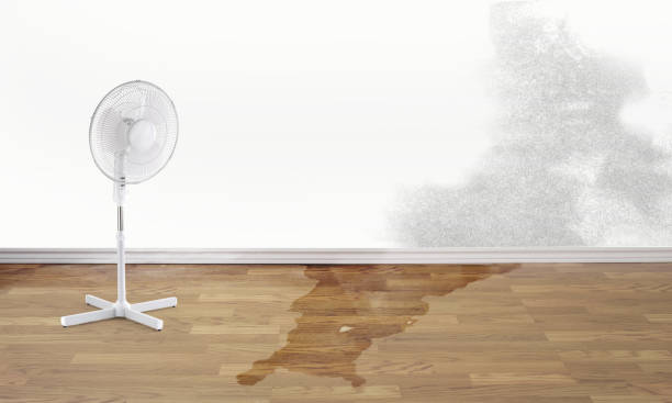  Hampton, IL Water damage restoration Pros