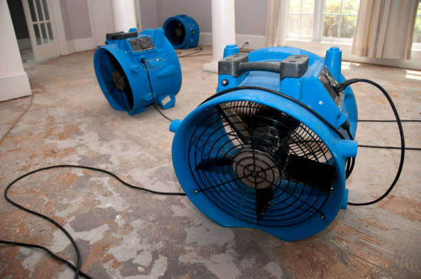 Best Basement water damage restoration  in Hampton, IL