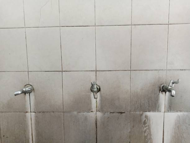 Best Flooded house restoration  in Hampton, IL