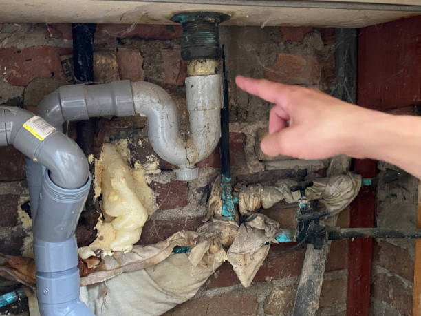 Best Emergency water damage restoration  in Hampton, IL