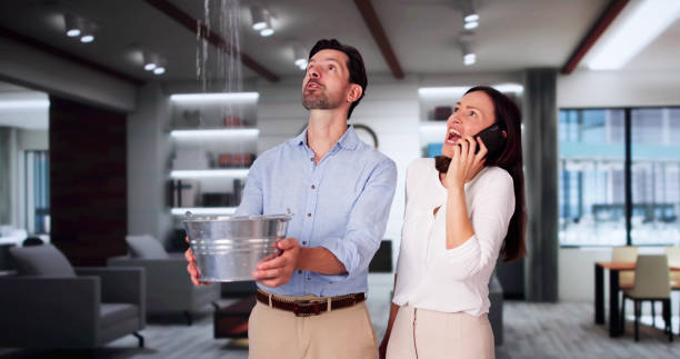 Best Water damage restoration process  in Hampton, IL