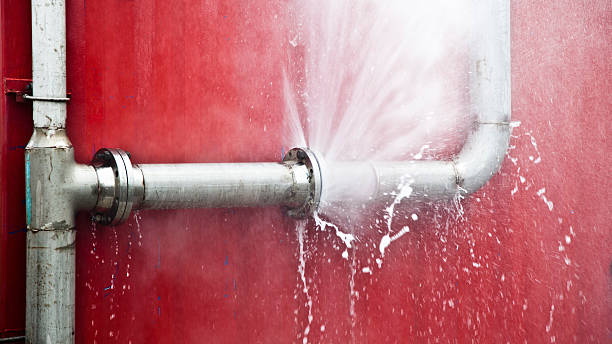 Best Mold removal after water damage  in Hampton, IL