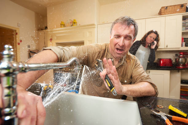 Best Flood damage cleanup  in Hampton, IL